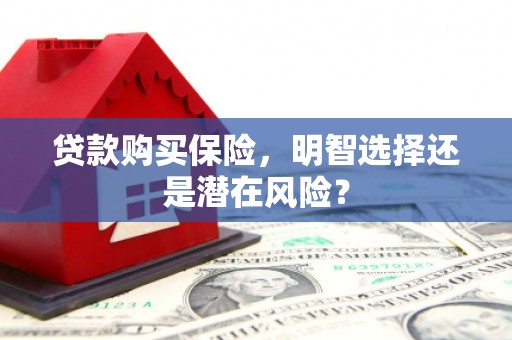 北投贷款购买保险，明智选择还是潜在风险？