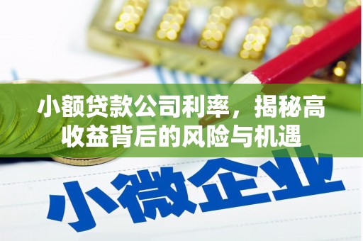九台小额贷款公司利率，揭秘高收益背后的风险与机遇