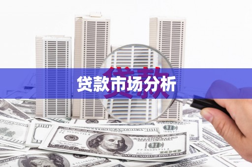 卑南贷款市场分析