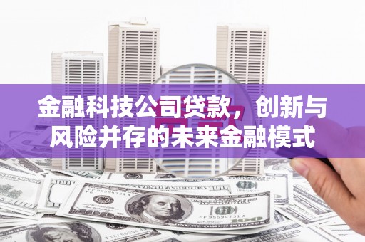 洮北金融科技公司贷款，创新与风险并存的未来金融模式