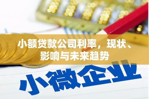 丹凤小额贷款公司利率，现状、影响与未来趋势