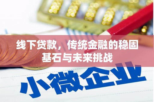 龙游线下贷款，传统金融的稳固基石与未来挑战