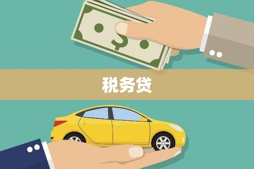 平川税务贷