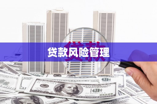 温州贷款风险管理