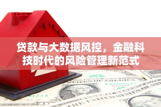 洛扎贷款与大数据风控，金融科技时代的风险管理新范式