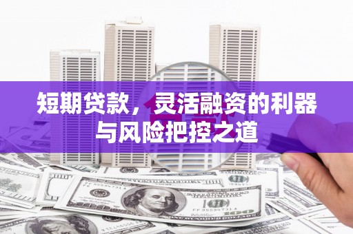新营短期贷款，灵活融资的利器与风险把控之道