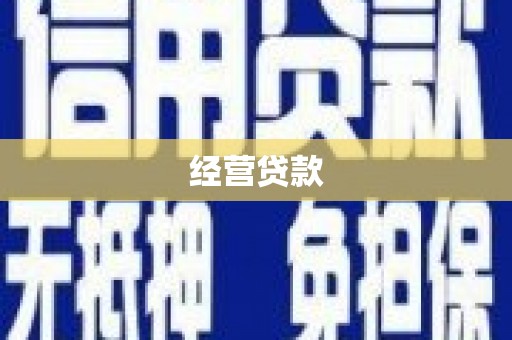 龙凤经营贷款