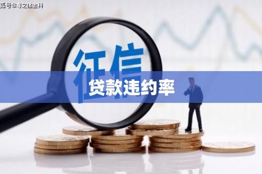 沙依巴克贷款违约率