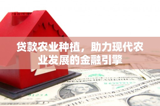大安贷款农业种植，助力现代农业发展的金融引擎