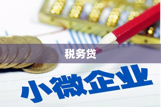 肃南税务贷
