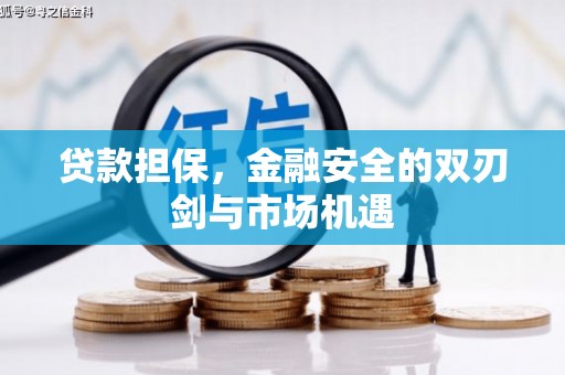 南宫贷款担保，金融安全的双刃剑与市场机遇
