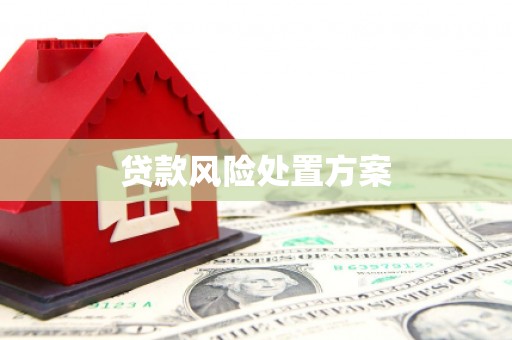 大林贷款风险处置方案