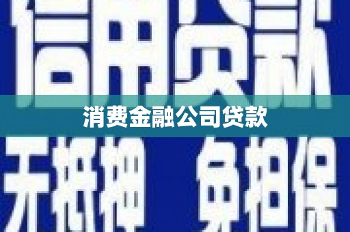 新华消费金融公司贷款