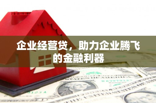 颍上企业经营贷，助力企业腾飞的金融利器