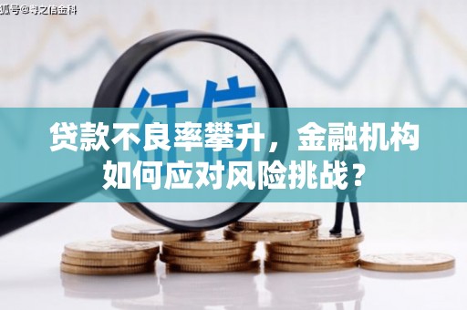 双城贷款不良率攀升，金融机构如何应对风险挑战？