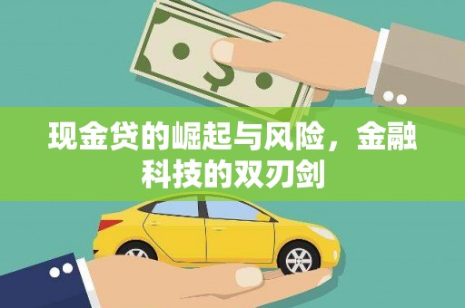 瑞芳现金贷的崛起与风险，金融科技的双刃剑