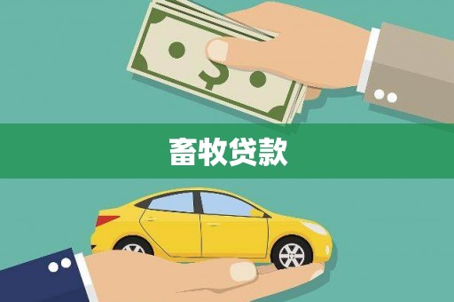 庄浪畜牧贷款