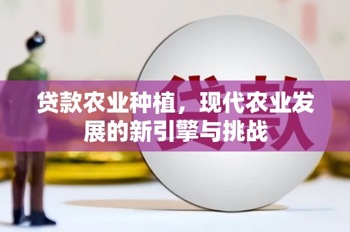 普格贷款农业种植，现代农业发展的新引擎与挑战