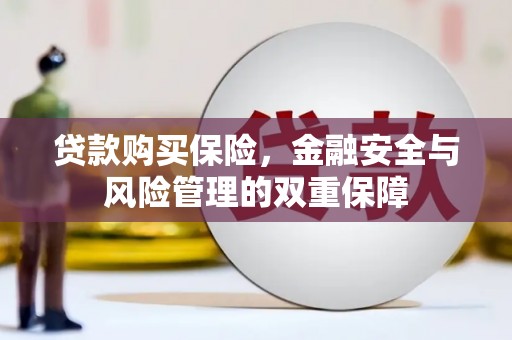 定陶贷款购买保险，金融安全与风险管理的双重保障