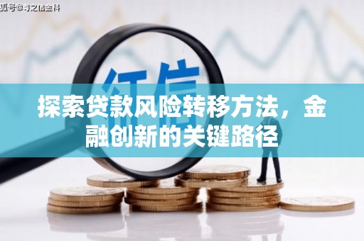 魏县探索贷款风险转移方法，金融创新的关键路径