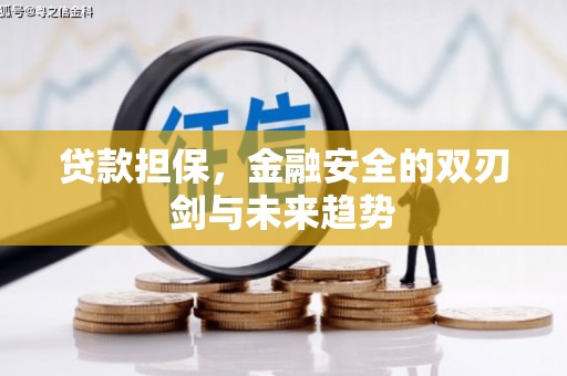 新都贷款担保，金融安全的双刃剑与未来趋势