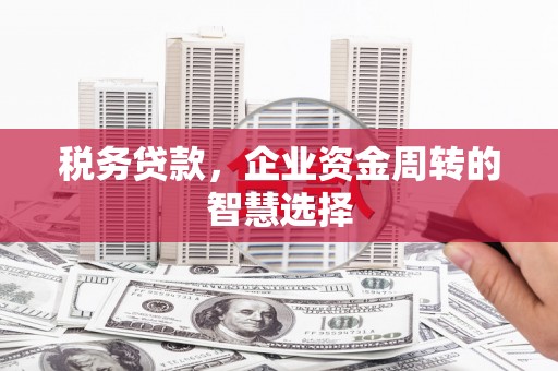 正宁税务贷款，企业资金周转的智慧选择