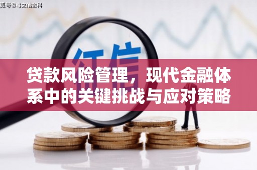 昔阳贷款风险管理，现代金融体系中的关键挑战与应对策略