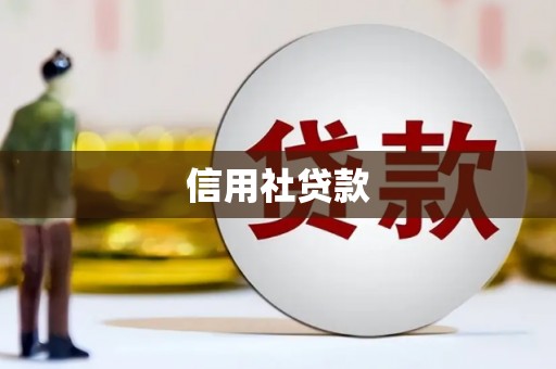 平舆信用社贷款