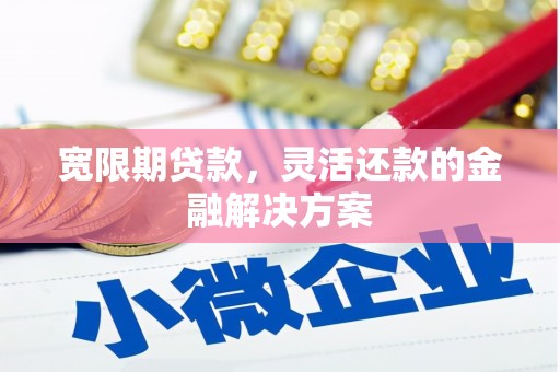 镇雄宽限期贷款，灵活还款的金融解决方案