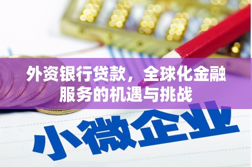 邵阳外资银行贷款，全球化金融服务的机遇与挑战
