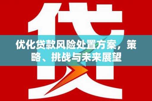 涉县优化贷款风险处置方案，策略、挑战与未来展望