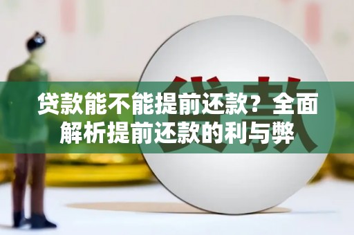 高坪贷款能不能提前还款？全面解析提前还款的利与弊
