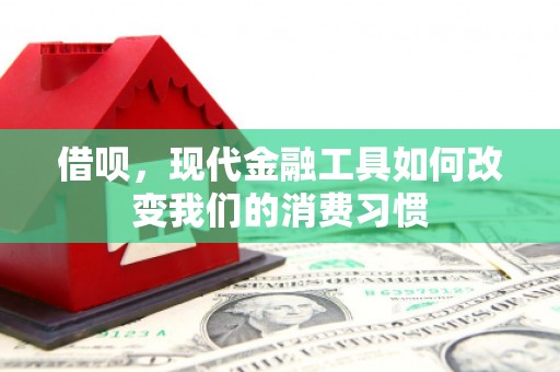 南山借呗，现代金融工具如何改变我们的消费习惯