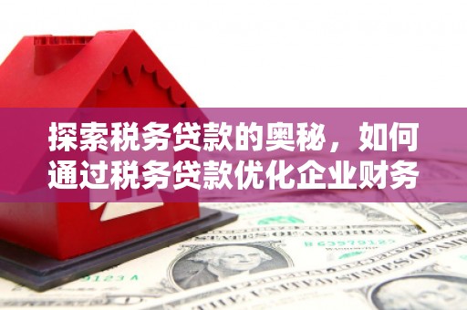 萨迦探索税务贷款的奥秘，如何通过税务贷款优化企业财务