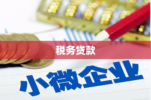 丰县税务贷款