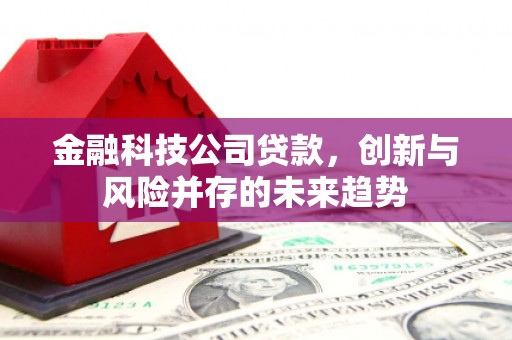 海端金融科技公司贷款，创新与风险并存的未来趋势