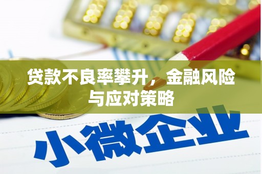 陵城贷款不良率攀升，金融风险与应对策略