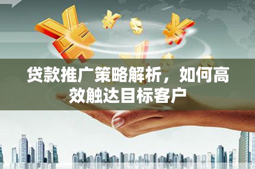 芦淞贷款推广策略解析，如何高效触达目标客户