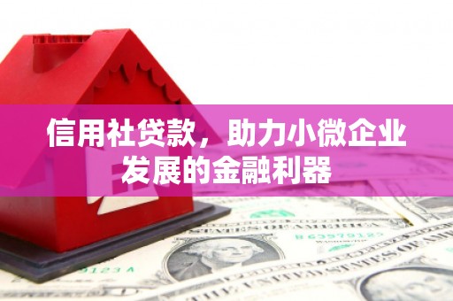 红岗信用社贷款，助力小微企业发展的金融利器