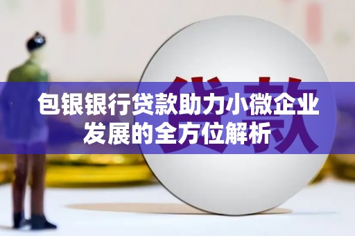 三湾包银银行贷款助力小微企业发展的全方位解析