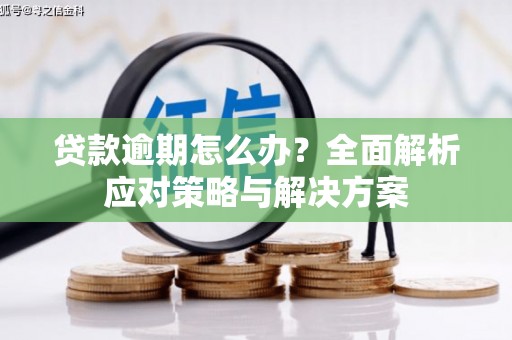 房山贷款逾期怎么办？全面解析应对策略与解决方案