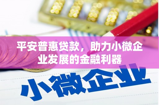 大观平安普惠贷款，助力小微企业发展的金融利器