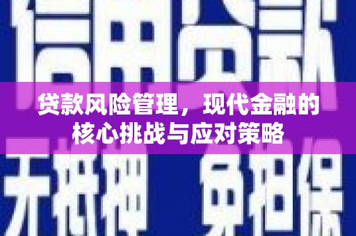 利州贷款风险管理，现代金融的核心挑战与应对策略