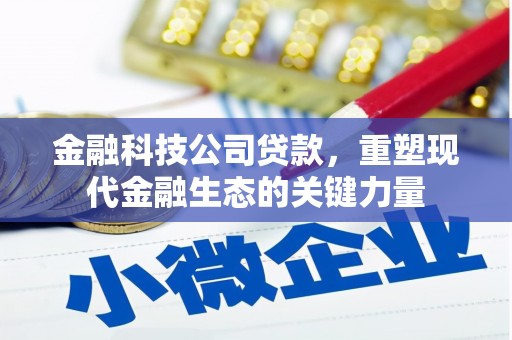 峨边金融科技公司贷款，重塑现代金融生态的关键力量