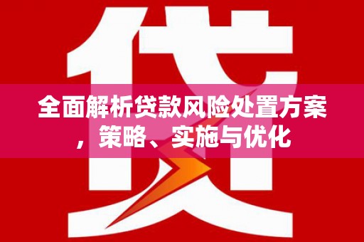 中寮全面解析贷款风险处置方案，策略、实施与优化