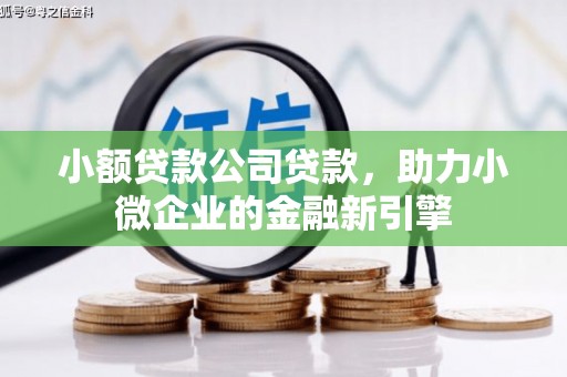 诏安小额贷款公司贷款，助力小微企业的金融新引擎