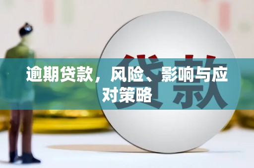 泰来逾期贷款，风险、影响与应对策略