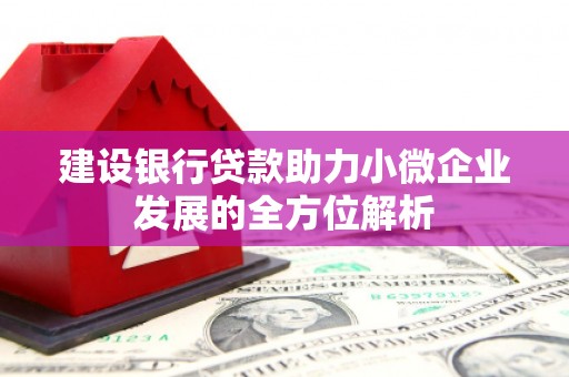 莿桐建设银行贷款助力小微企业发展的全方位解析