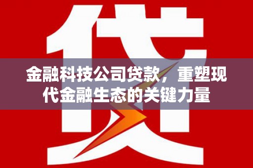 舟山新区金融科技公司贷款，重塑现代金融生态的关键力量