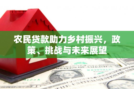 江陵农民贷款助力乡村振兴，政策、挑战与未来展望